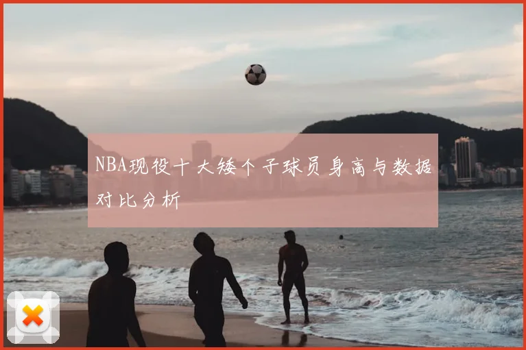 NBA现役十大矮个子球员身高与数据对比分析