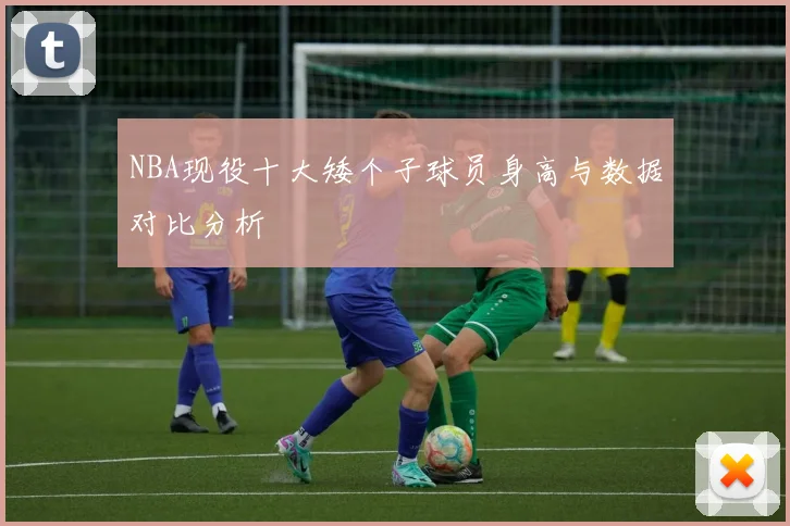 NBA现役十大矮个子球员身高与数据对比分析